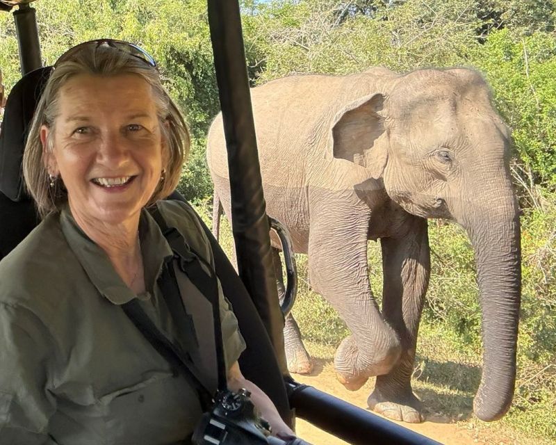 Safarigirl2026 Safarigirl2026